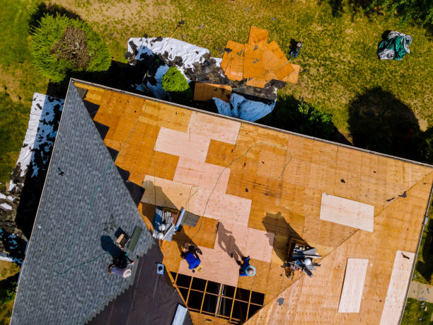 Best Emergency Roof Repair  in Federal Y, WA