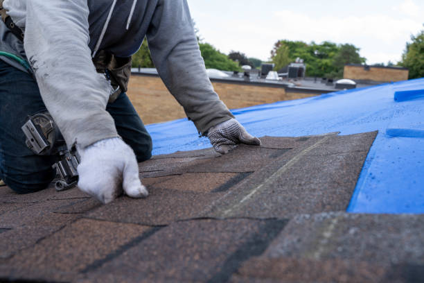 Best Metal Roofing Contractor  in Federal Y, WA