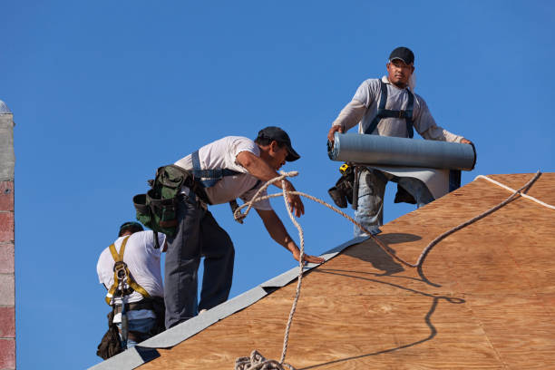 Best New Roof Installation  in Federal Y, WA