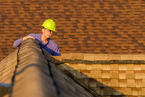 Best Flat Roof Repair Services  in Federal Y, WA