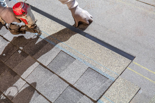 Quick and Trustworthy Emergency Roof Repair Services in Federal Way, WA